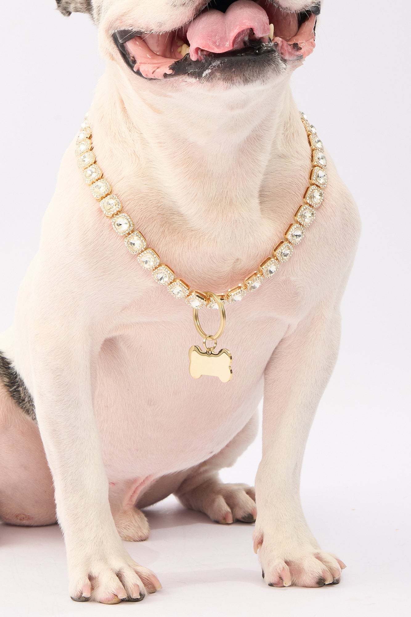 Rhinestone Pet Necklace | Gold Plated Chain