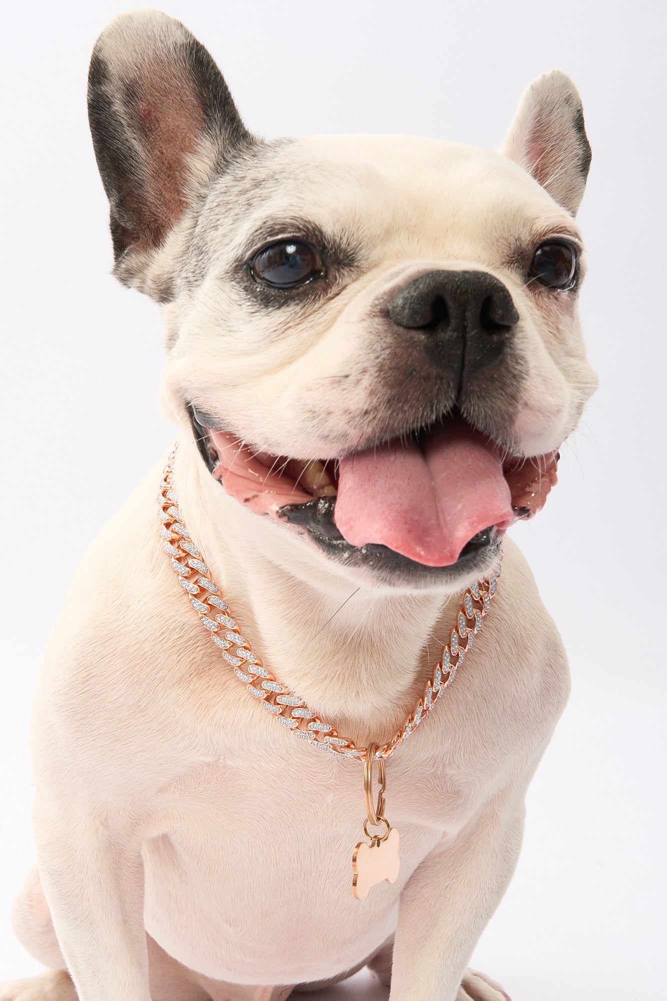 Rhinestone Pet Cuba Chain | Gold Plated Chain