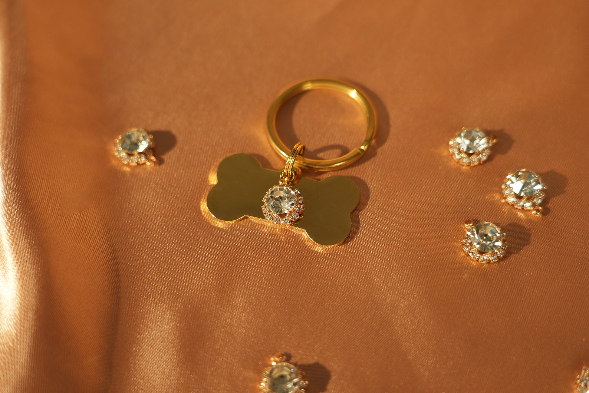 Jiliwa™ Rhinestones Bone Pet Tag
