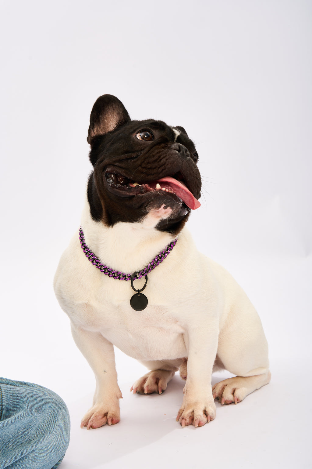 Jiliwa™ Rhinestone Pet Cuba Chain | Gold Plated Chain