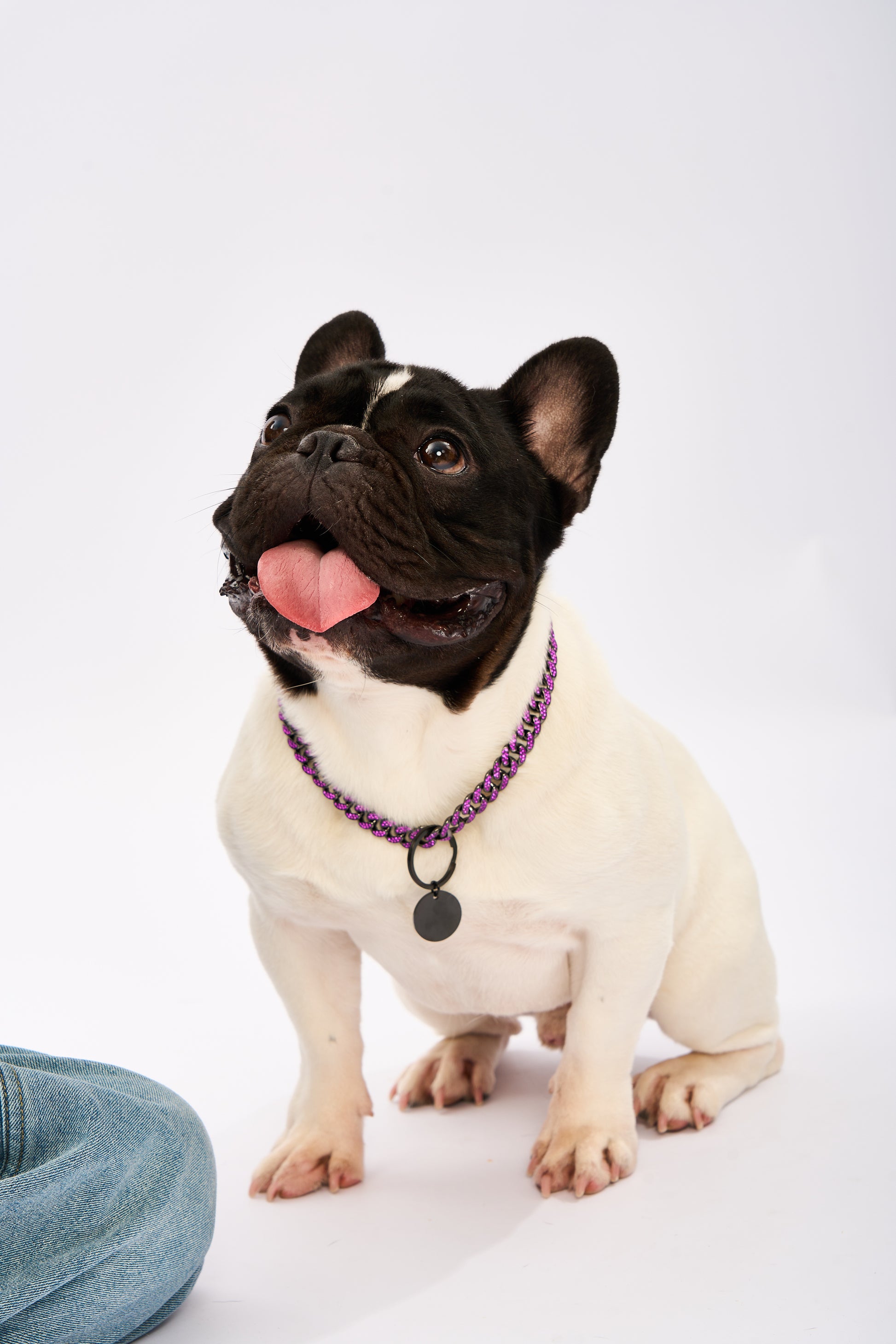 Rhinestone Pet Cuba Chain | Gold Plated Chain