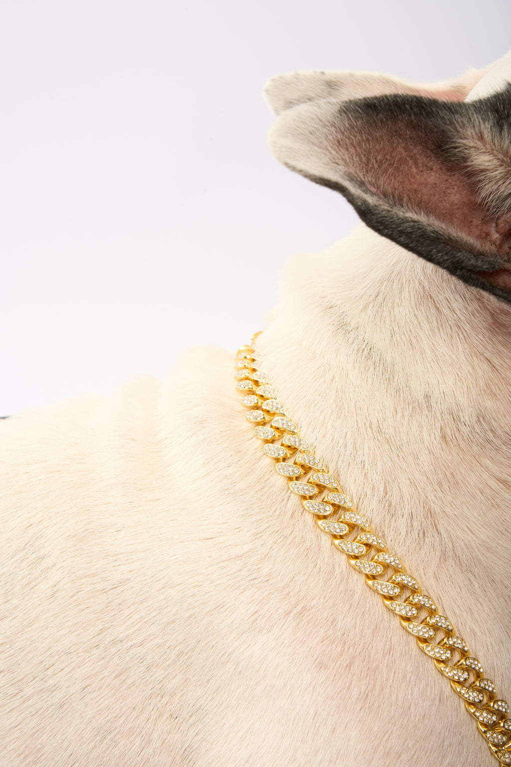 Jiliwa™ Rhinestone Pet Cuba Chain | Gold Plated Chain
