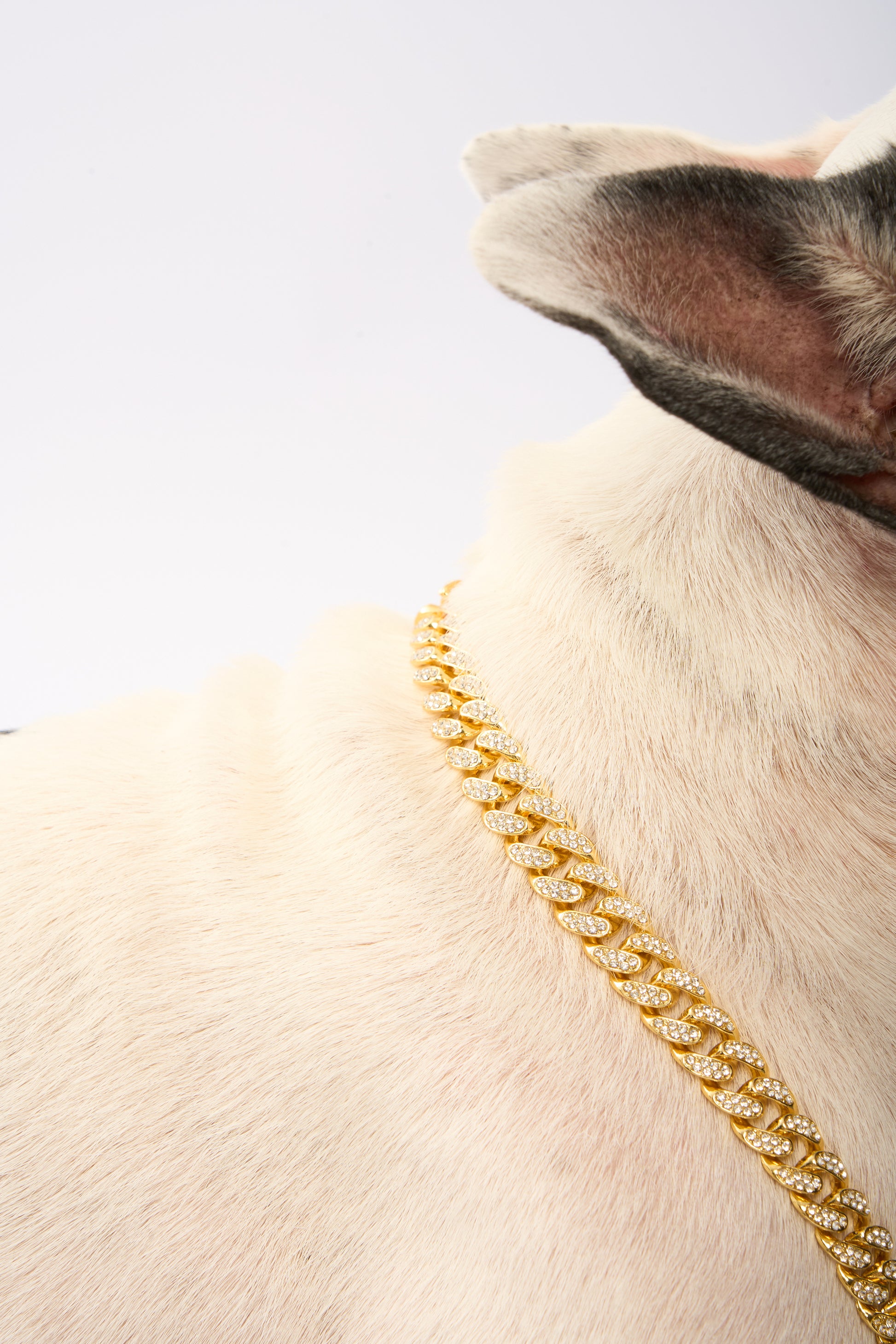 Rhinestone Pet Cuba Chain | Gold Plated Chain