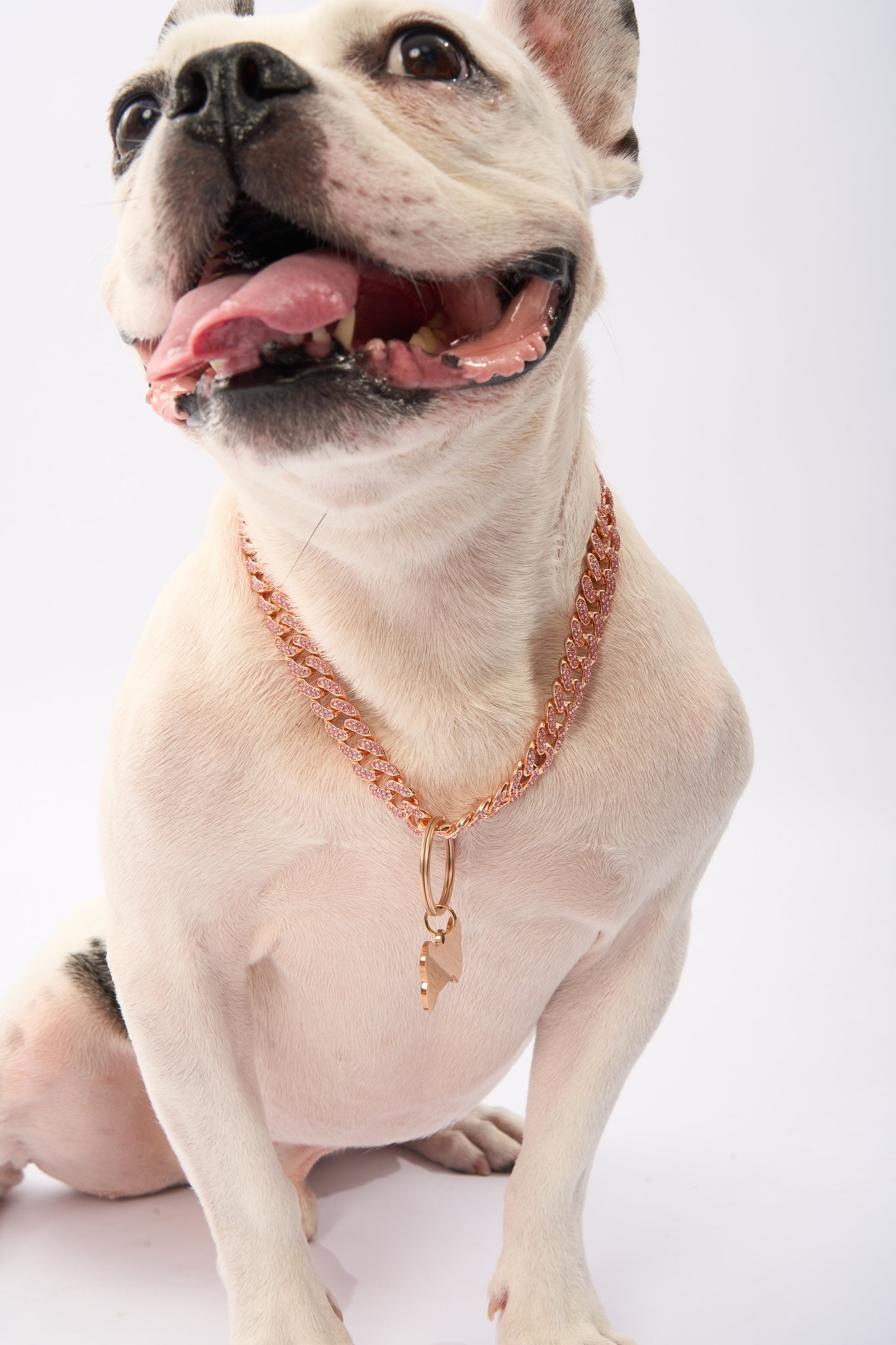 Rhinestone Pet Cuba Chain | Gold Plated Chain