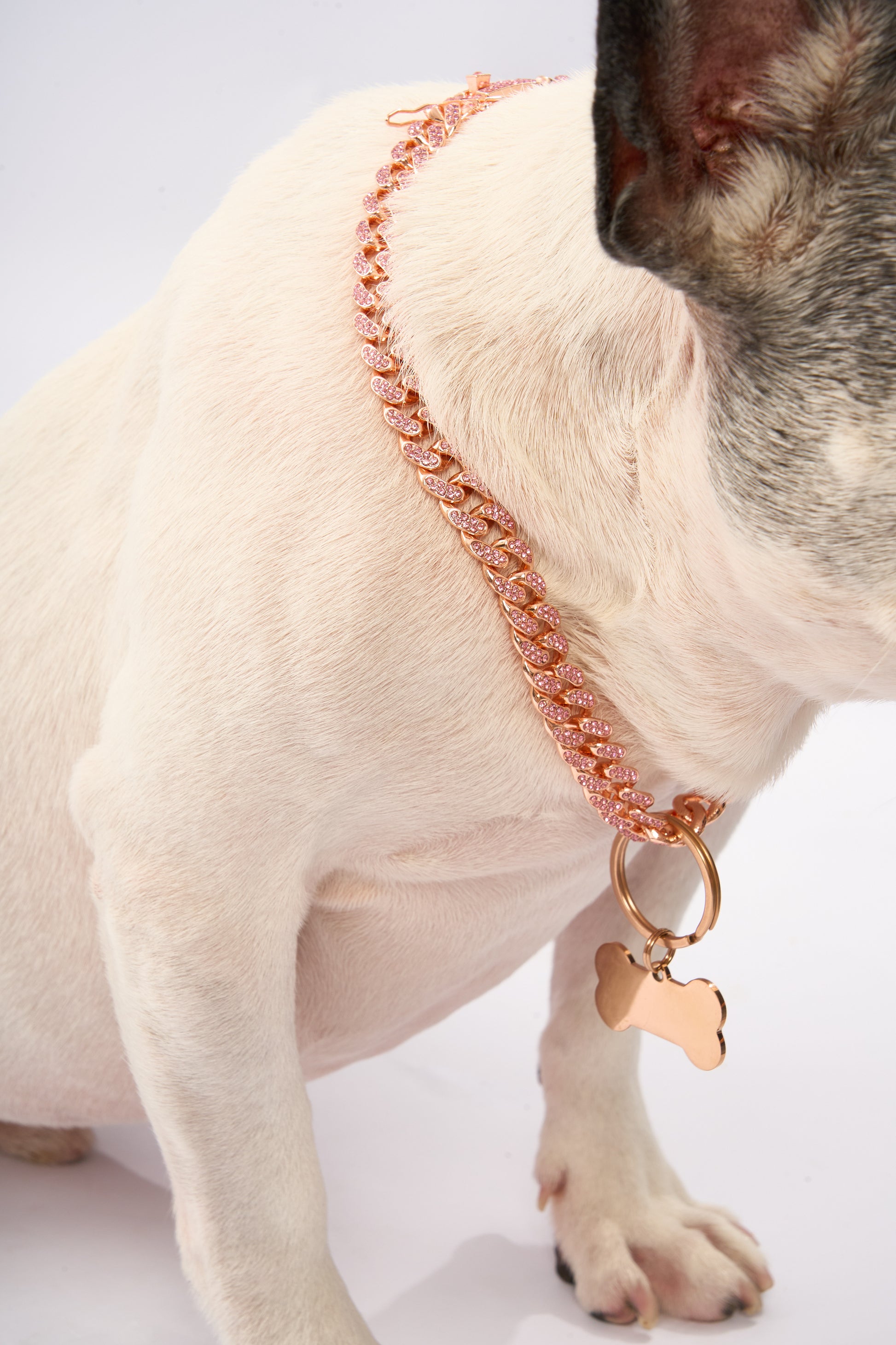 Rhinestone Pet Cuba Chain | Gold Plated Chain